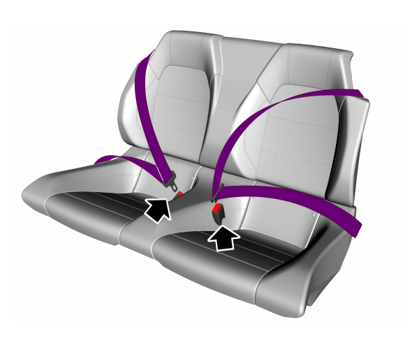 Image Shown Without Description