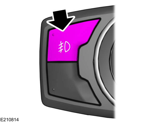 Image Shown Without Description