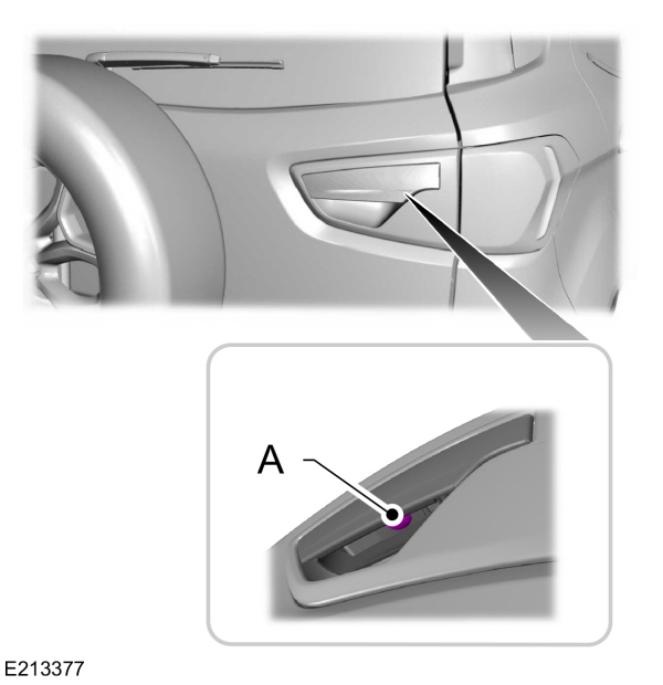 Image Shown Without Description