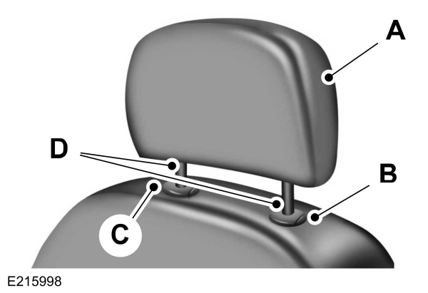 Head Restraints