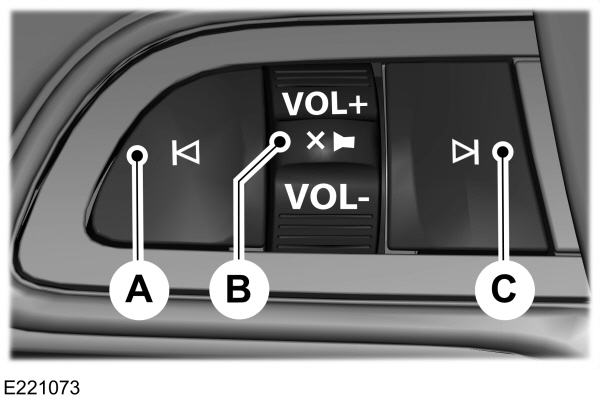 Audio Control Buttons