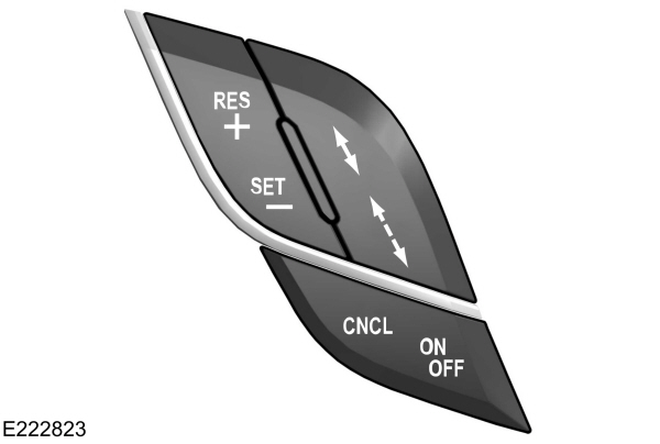 Image Shown Without Description
