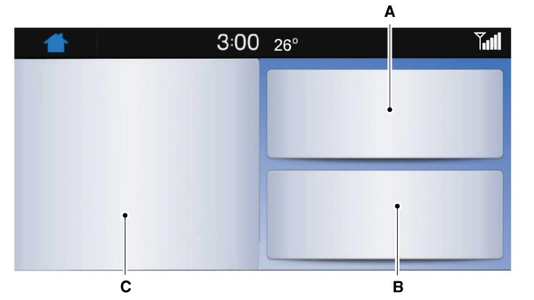 Image Shown Without Description
