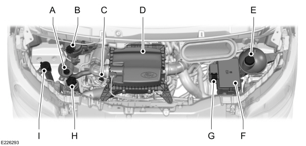 Image Shown Without Description