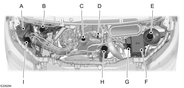 Image Shown Without Description