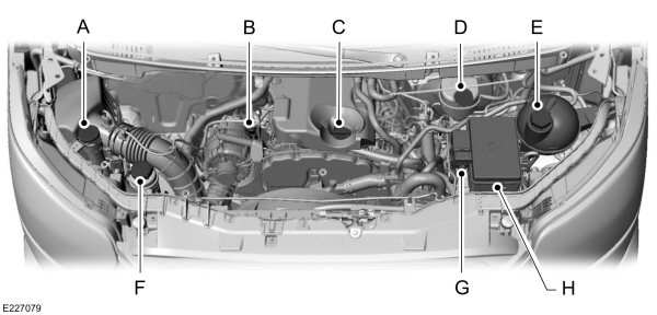 Image Shown Without Description