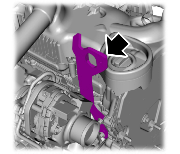 Image Shown Without Description