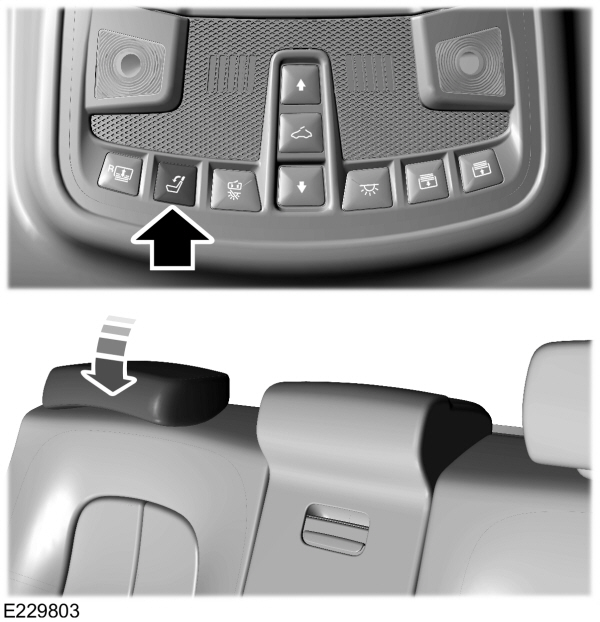 Power Rear Head Restraints Button