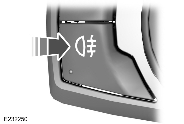 Image Shown Without Description