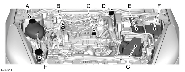 Image Shown Without Description