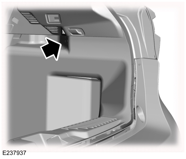 Image Shown Without Description