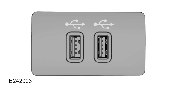 Image Shown Without Description