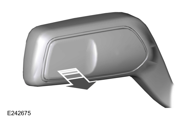 Image Shown Without Description