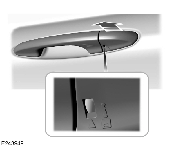 Image Shown Without Description