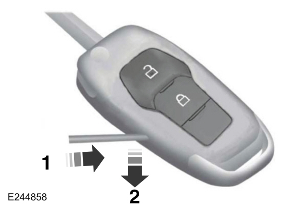 Image Shown Without Description