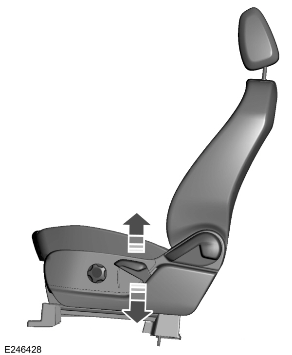 Image Shown Without Description