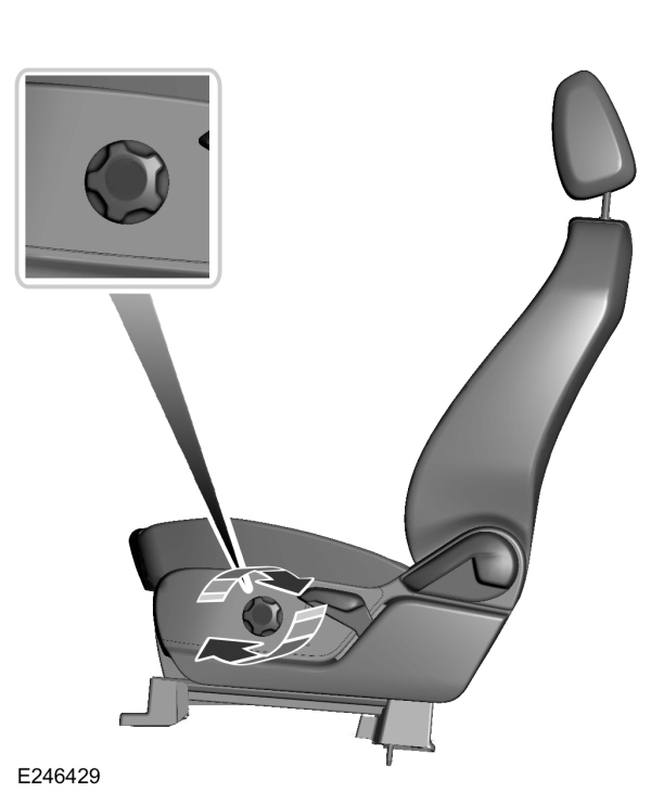 Image Shown Without Description