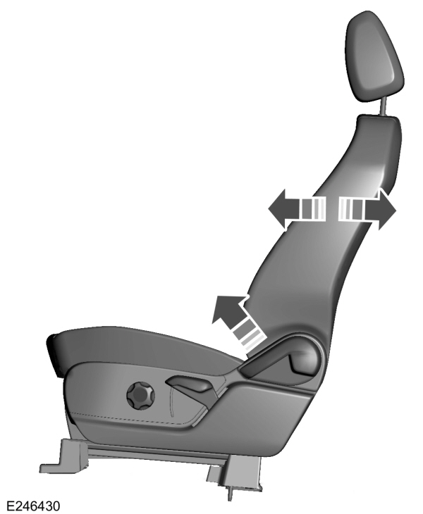 Image Shown Without Description