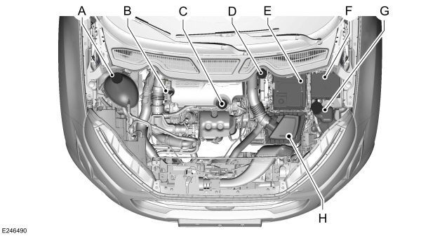 Image Shown Without Description