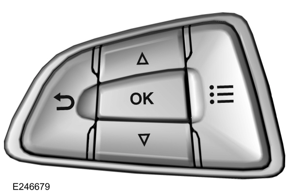 Image Shown Without Description