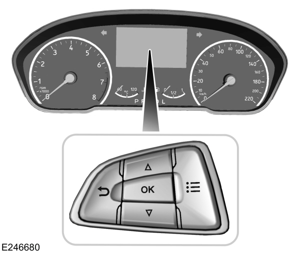 Image Shown Without Description
