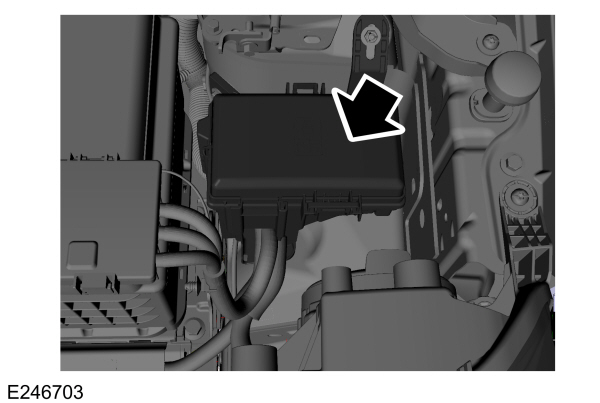 Image Shown Without Description