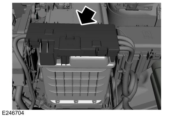 Image Shown Without Description