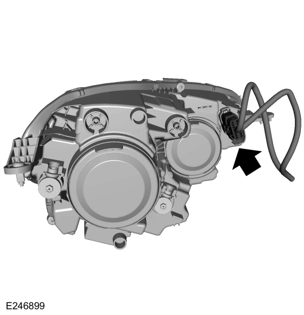 Image Shown Without Description