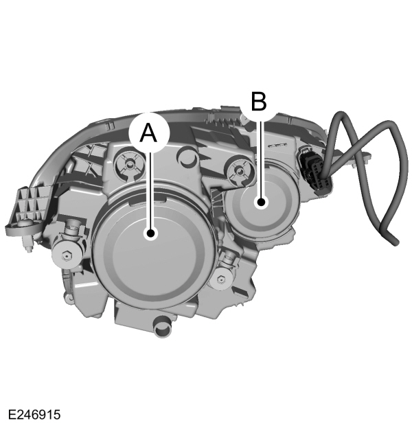 Image Shown Without Description