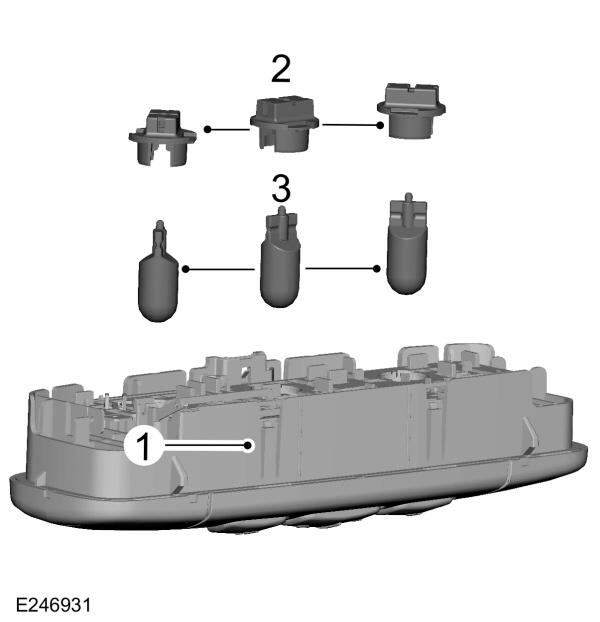 Image Shown Without Description