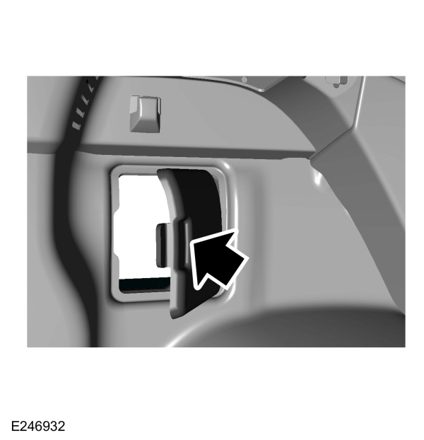 Image Shown Without Description
