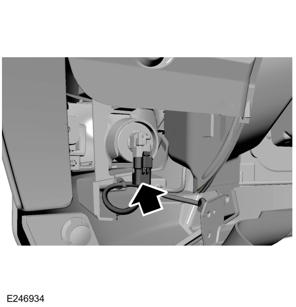 Image Shown Without Description