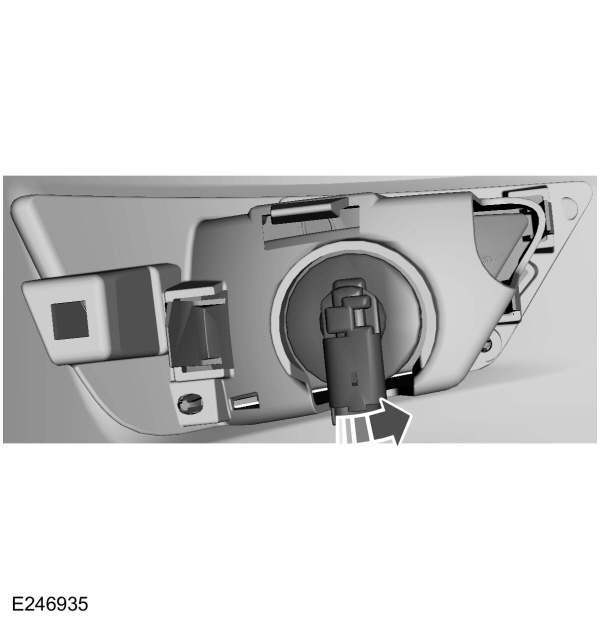 Image Shown Without Description