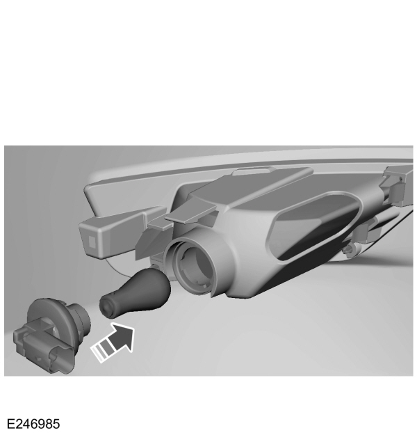 Image Shown Without Description
