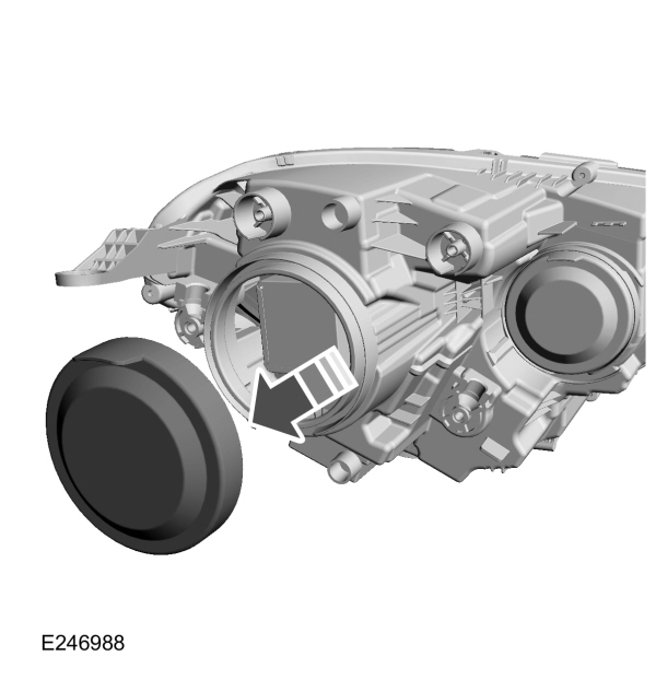 Image Shown Without Description