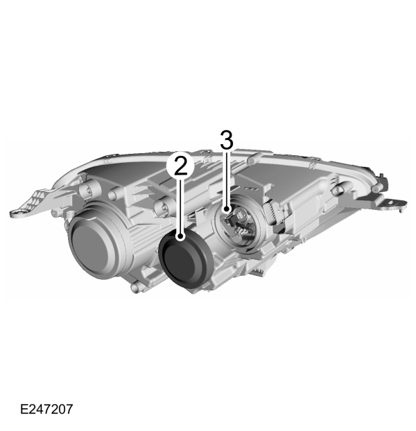 Image Shown Without Description