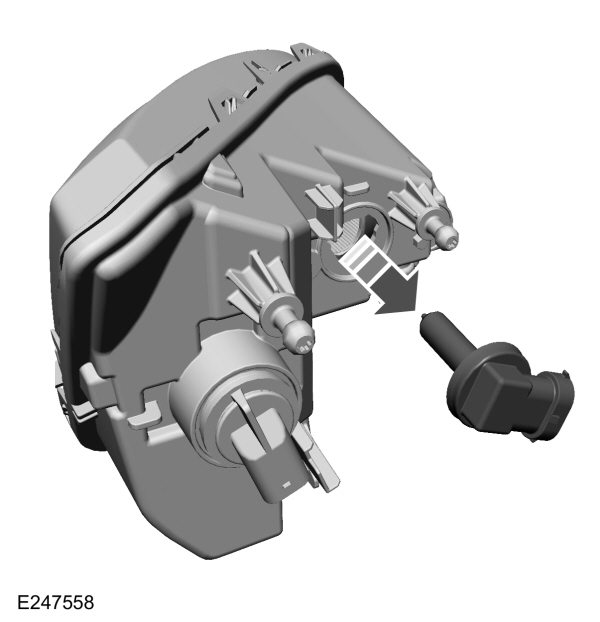 Image Shown Without Description