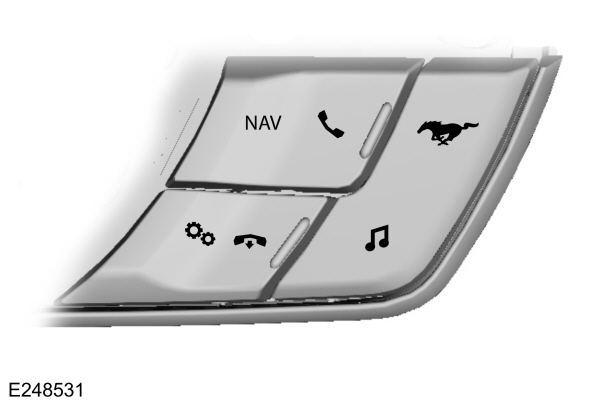 Image Shown Without Description