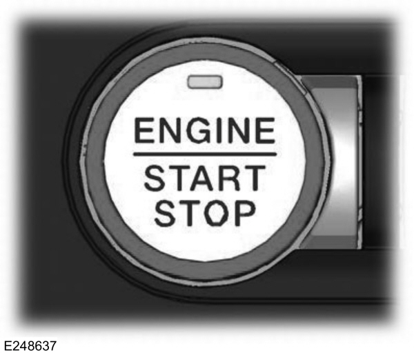 Image Shown Without Description