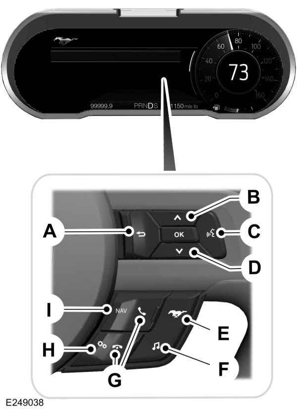 Image Shown Without Description