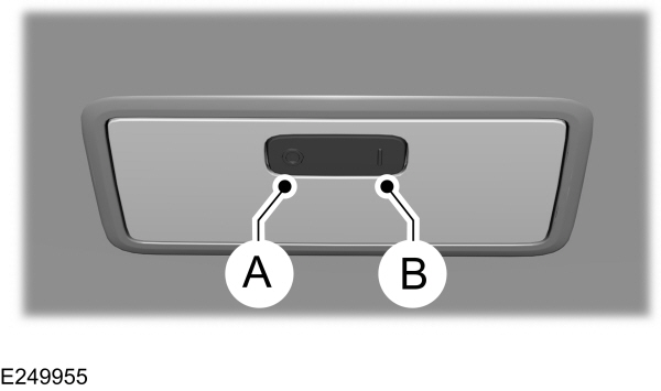 Image Shown Without Description