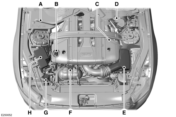 Image Shown Without Description