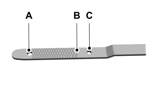 Checking the Engine Oil Level