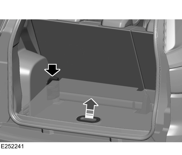 Image Shown Without Description