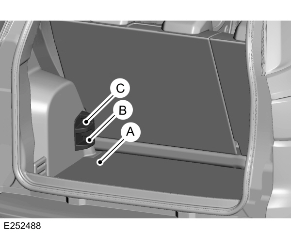 Image Shown Without Description