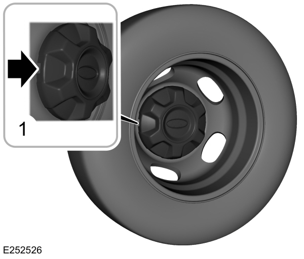 Wheel Trim Removal