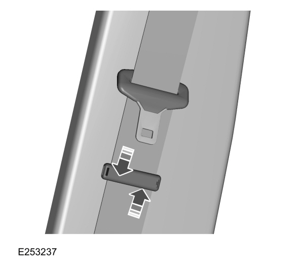Image Shown Without Description