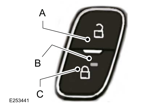 Image Shown Without Description