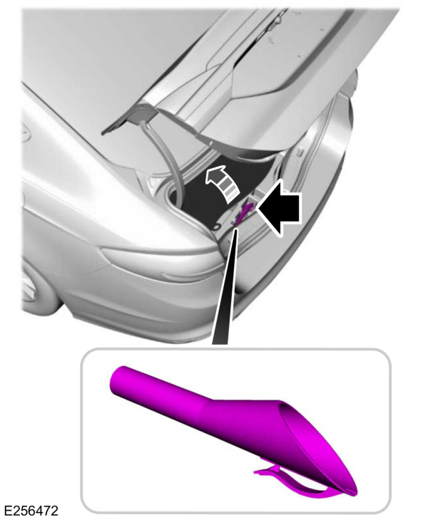 Image Shown Without Description