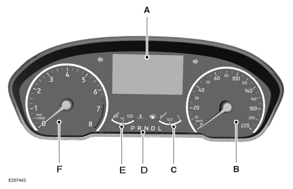 Image Shown Without Description